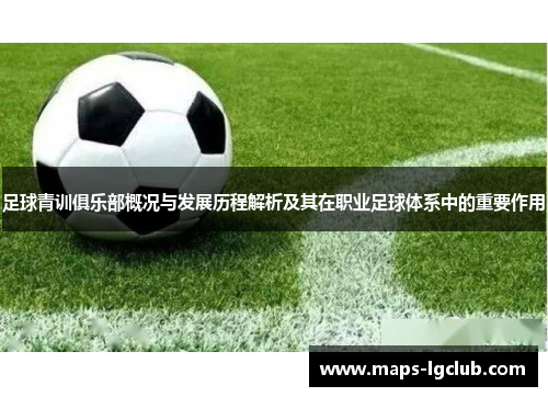 足球青训俱乐部概况与发展历程解析及其在职业足球体系中的重要作用